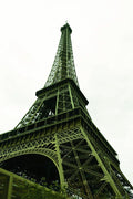Green Theme 1