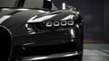 Close-up of a black car's front grille with a blurred background