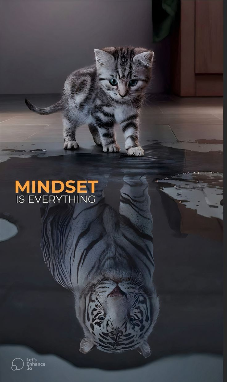 Mindset Is Everything Poster