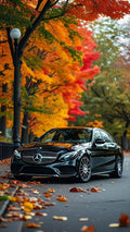 Black Mercedes-Benz car on a street lined with trees displaying autumn foliage.