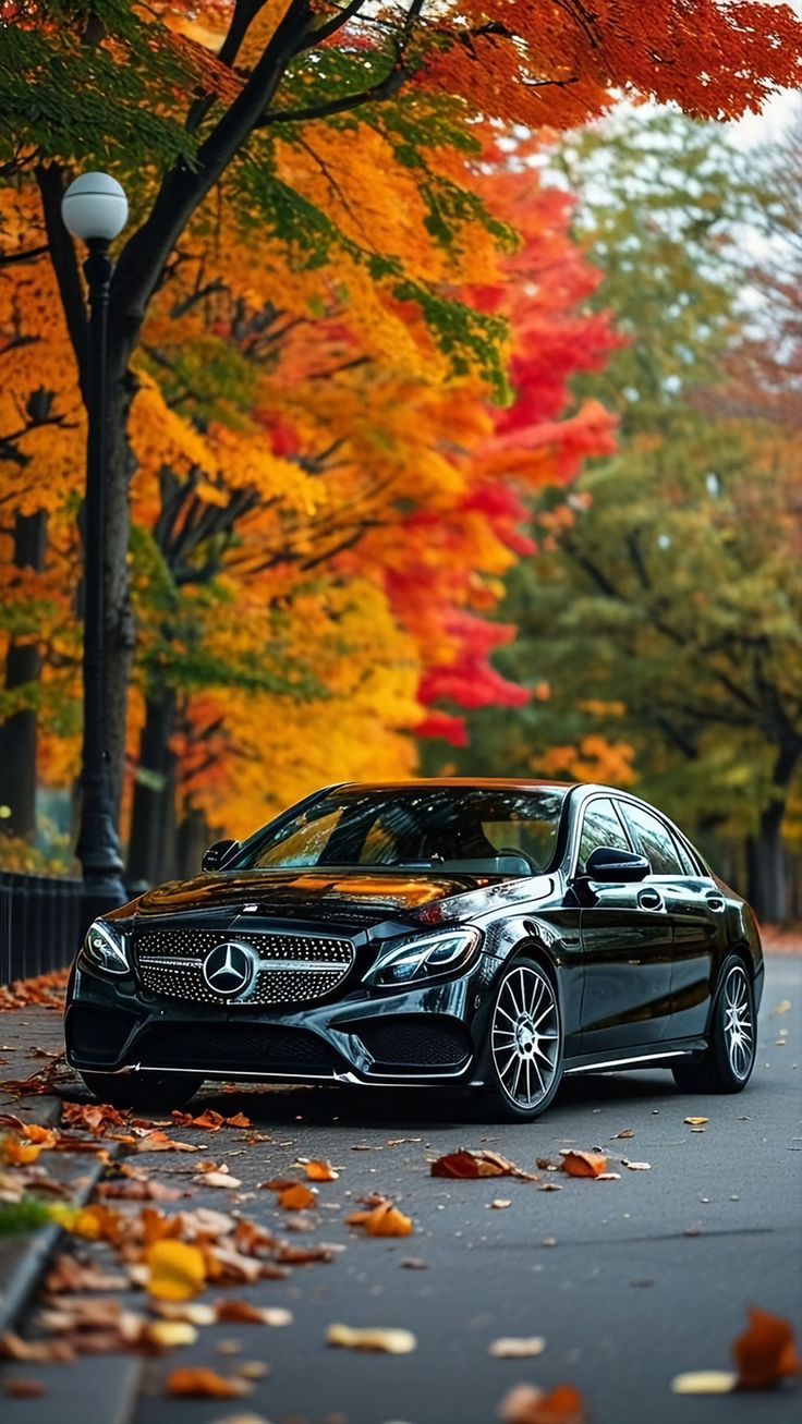 Black Mercedes-Benz car on a street lined with trees displaying autumn foliage.