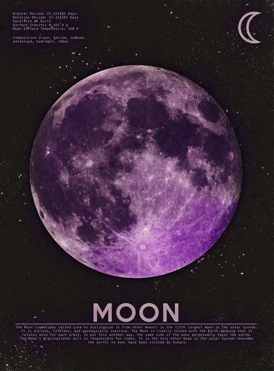 Purple Theme 5