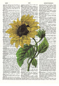 Yellow Theme 3