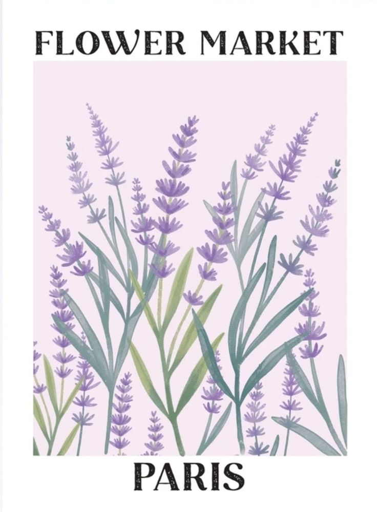 Purple Theme 6