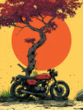 Sunset Bonsai Cafe Racer