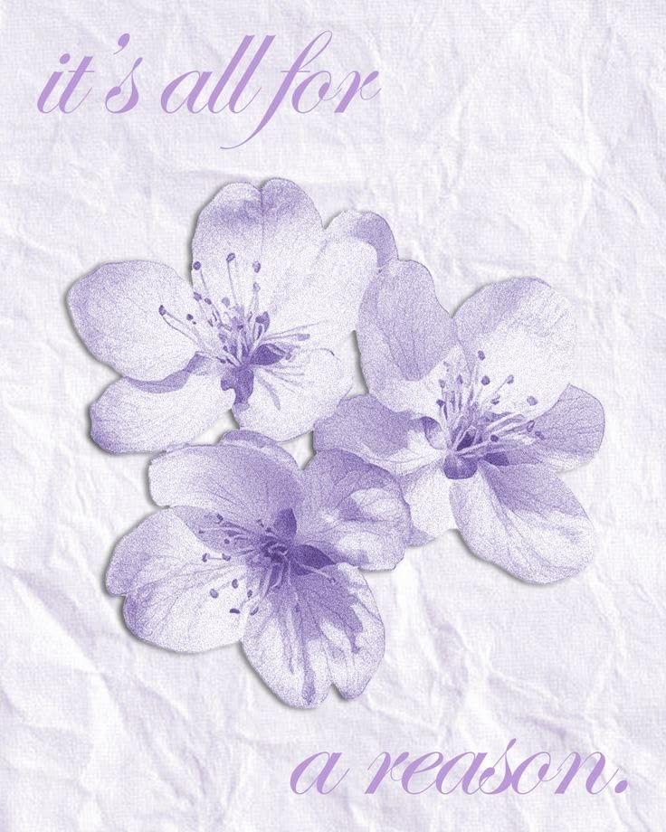 Purple Theme 19