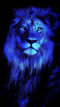 Blue Theme Poster 37