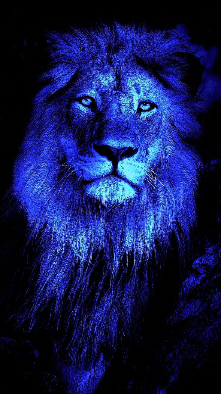 Blue Theme Poster 37