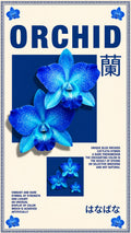 Blue Theme Poster 38