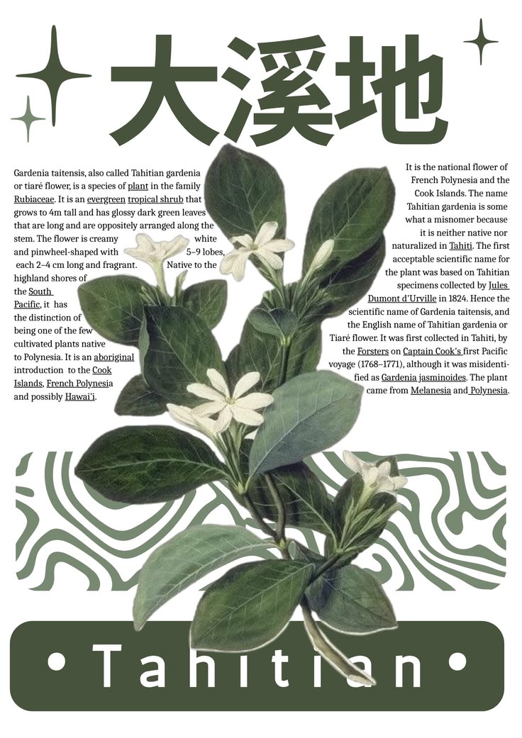 Green Theme 34