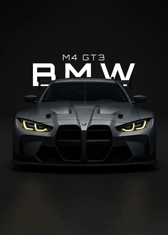 Bmw GT3
