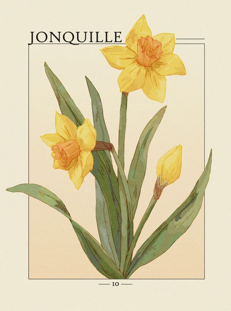 Yellow Theme 11