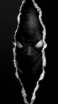 Black Theme Poster 16