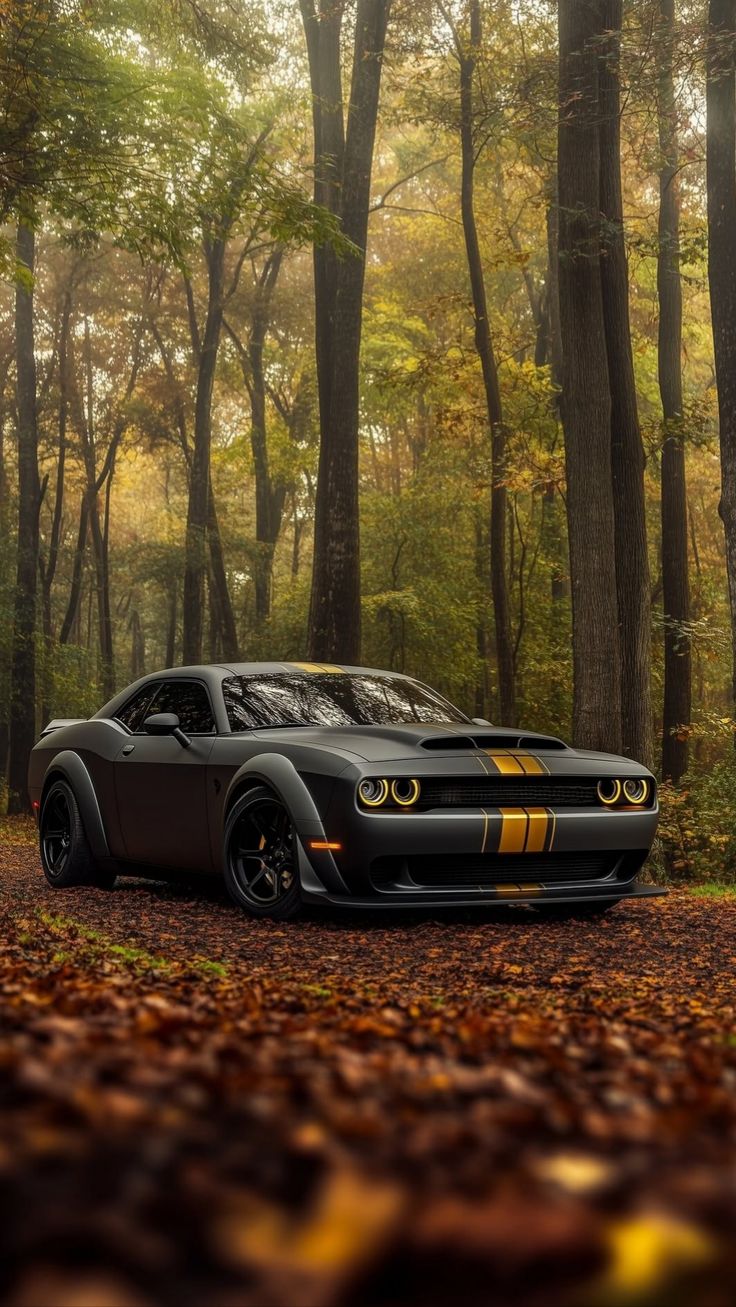 Classic Fall Dodge Poster