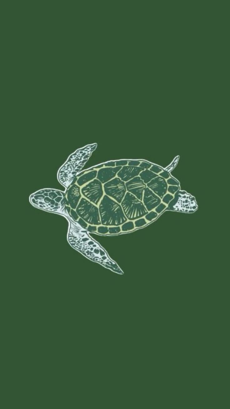 Green Theme 32