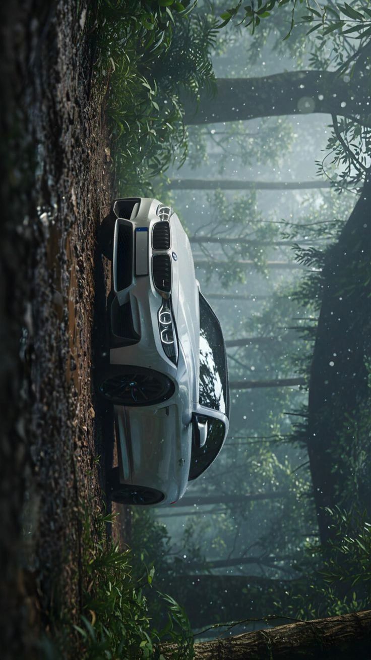 BMW Midnight Woods Poster