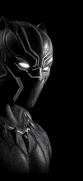 Black Theme Poster 14