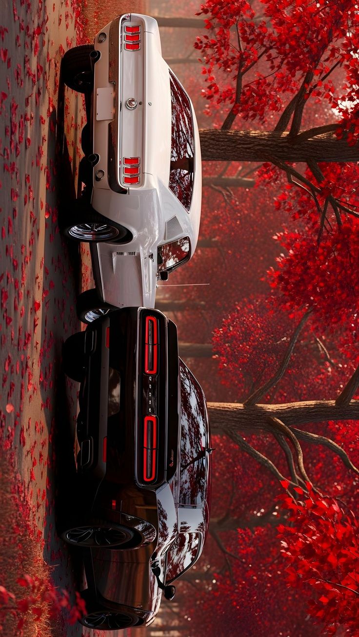 Autumn Drive Dodge Poster