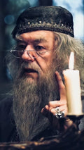 Dumbledore - Wisdom & Light Poster