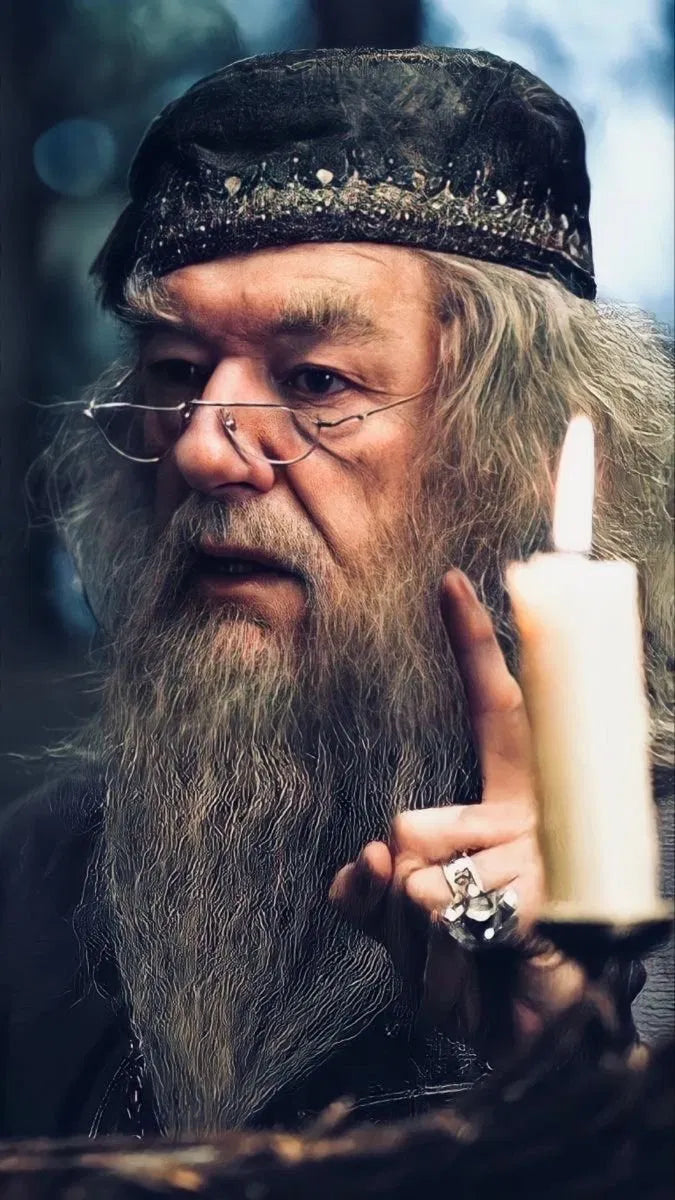 Dumbledore - Wisdom & Light Poster