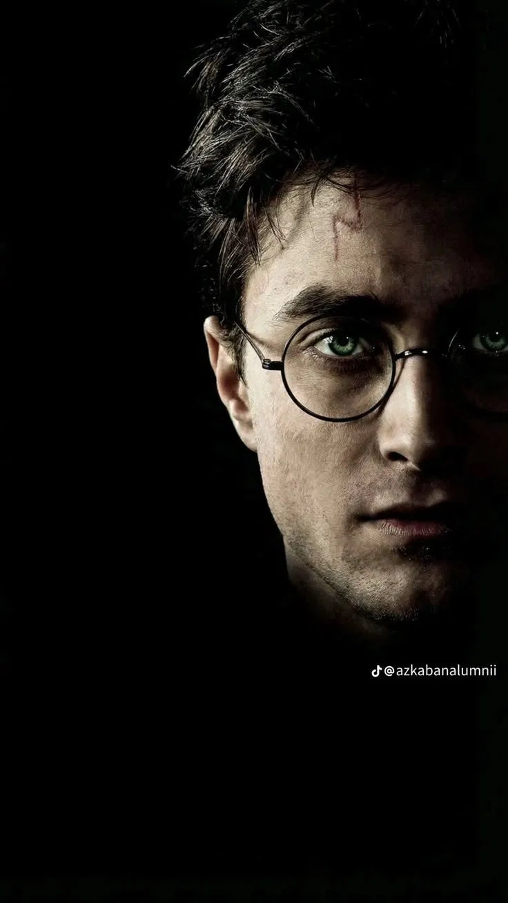 Harry Potter - Dark Half Face Poster